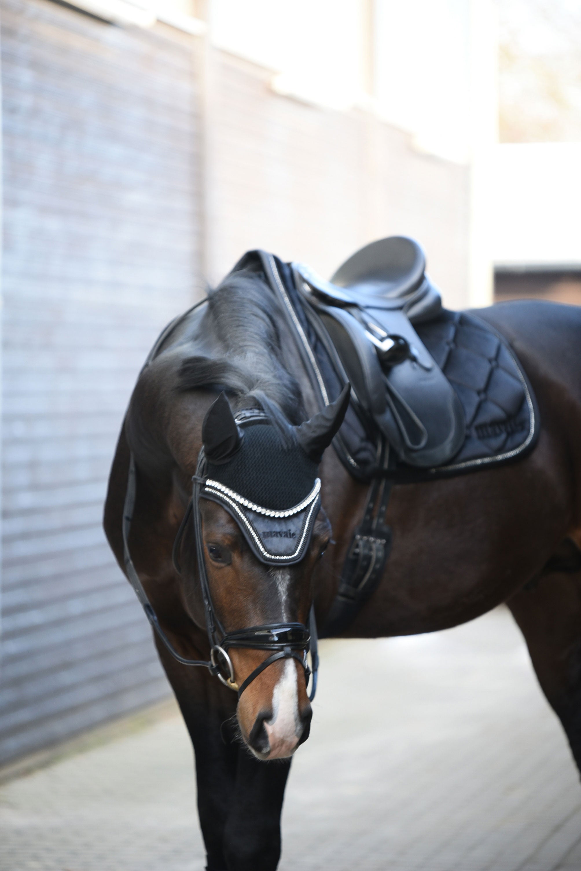Fliegenhaube Schwarz