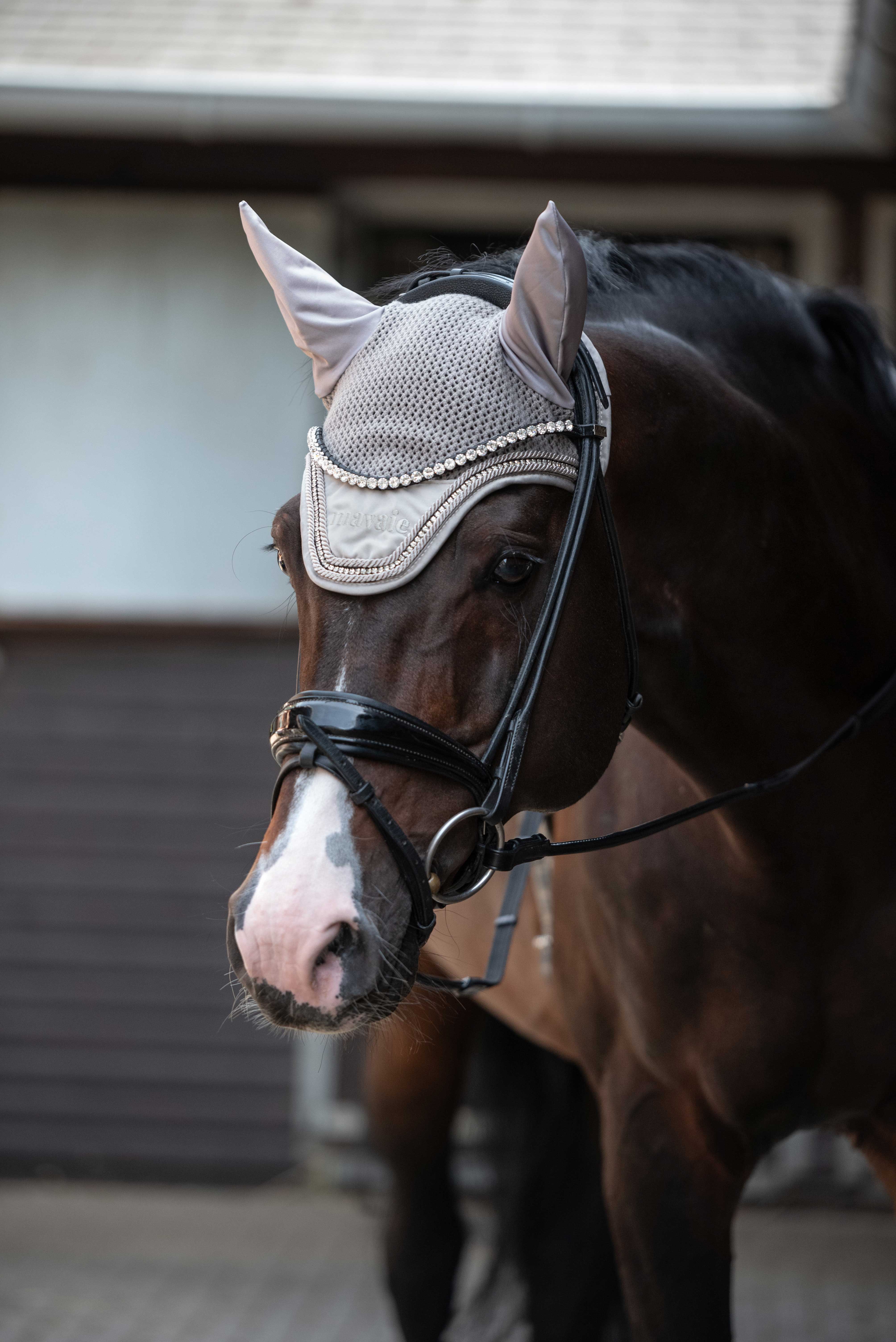 Fliegenhaube Creme