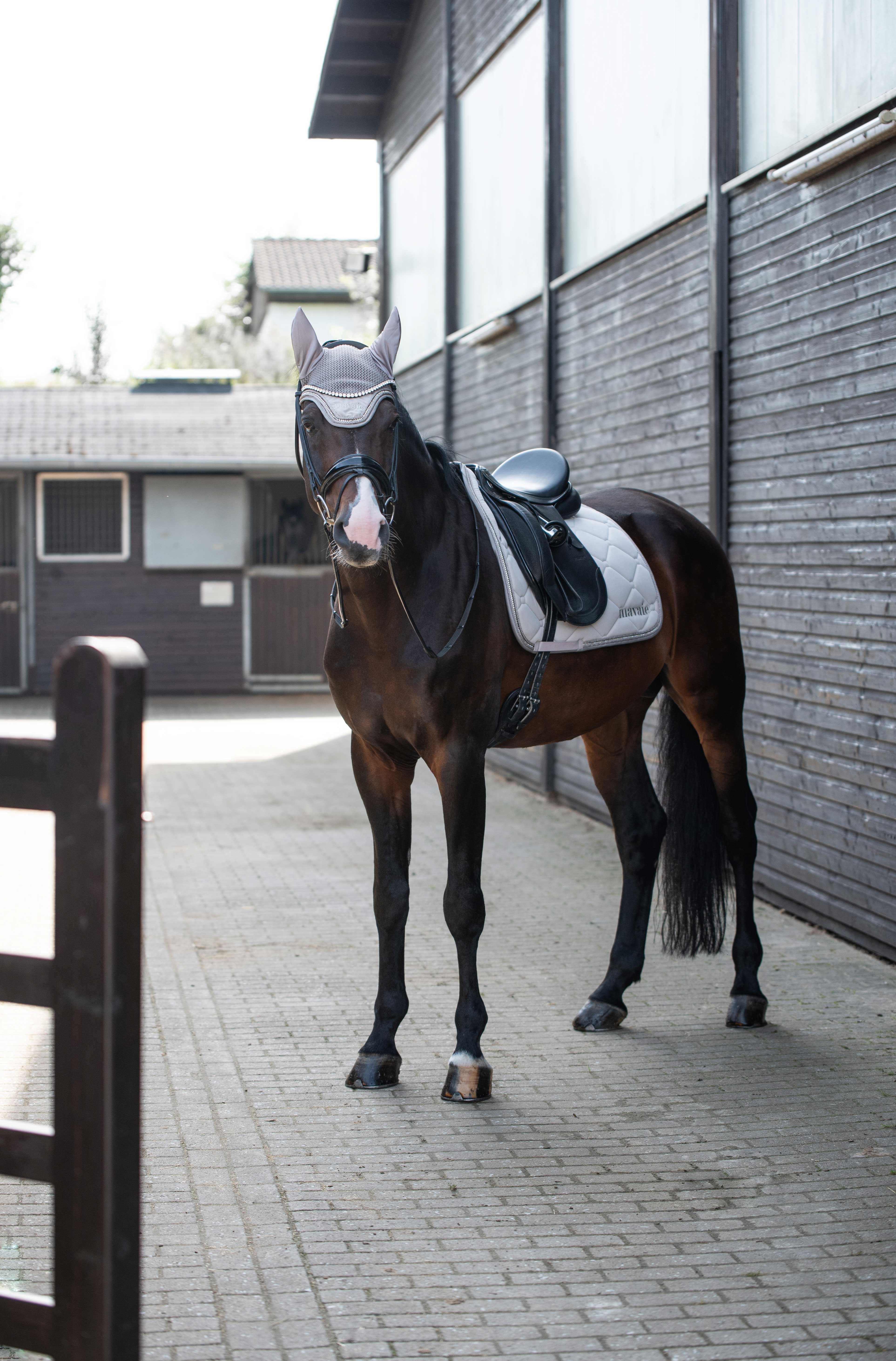 Fliegenhaube Creme